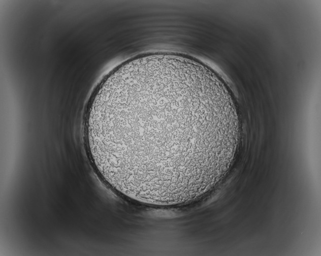 X0000083590998200703021840