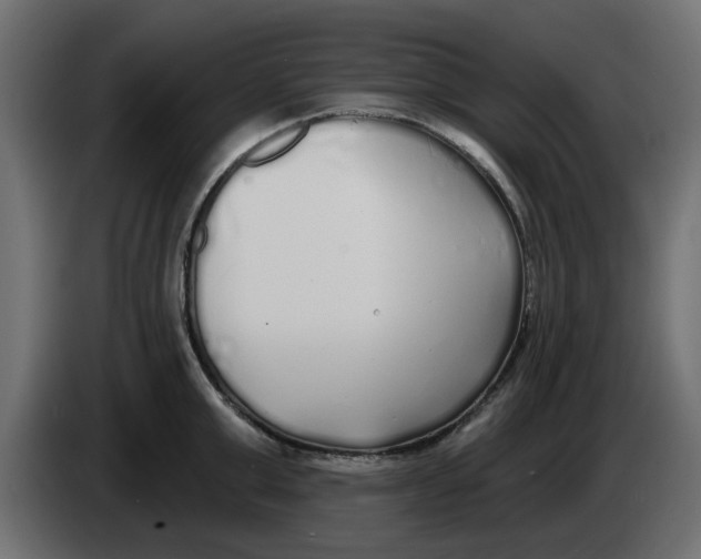 X0000083590999200703021840