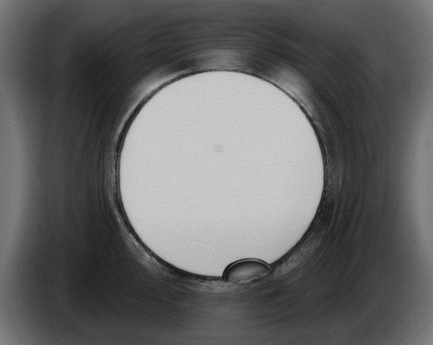 X0000083591000200703021840