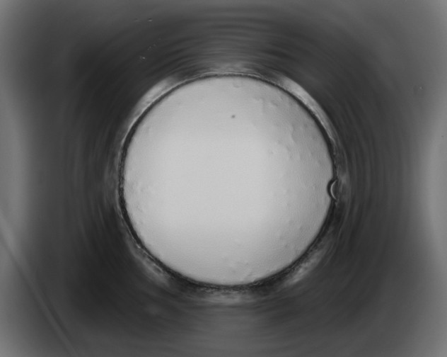 X0000083591002200703021840