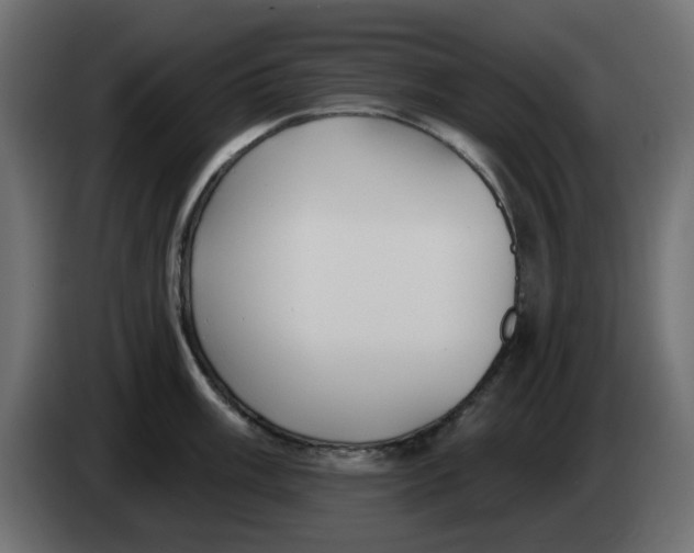 X0000083591003200703021839