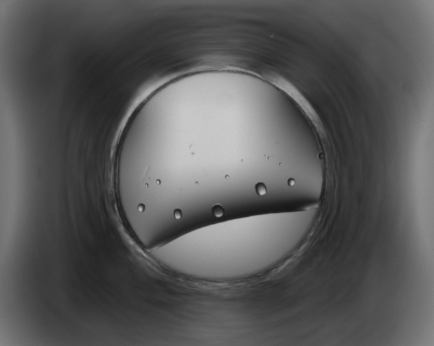 X0000083591004200703021839