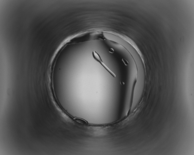 X0000083591005200703021839