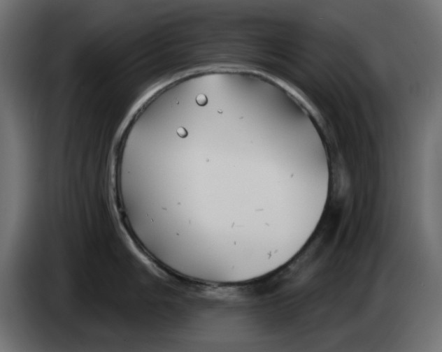 X0000083591006200703021839