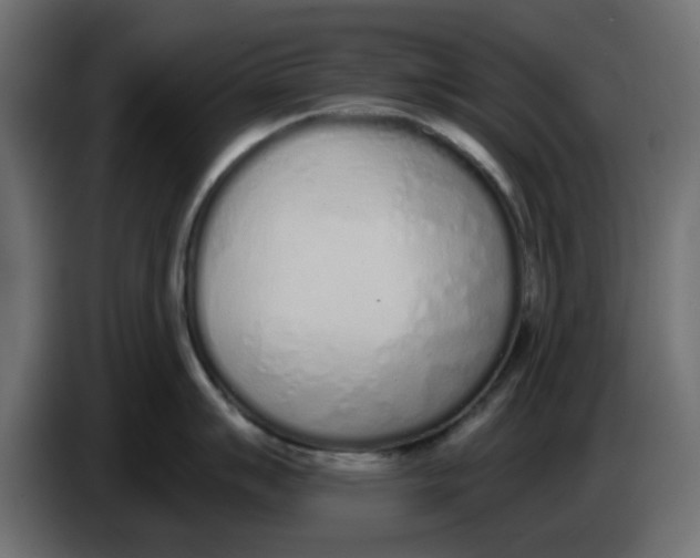 X0000083591007200703021839
