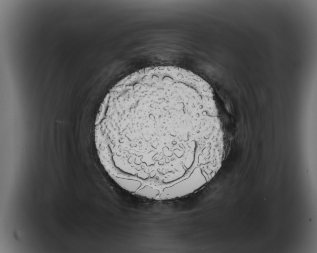 X0000083591009200703021838