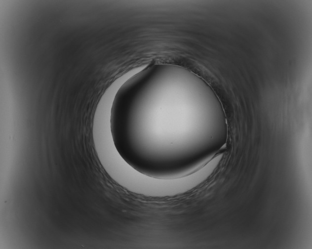 X0000083591010200703021838