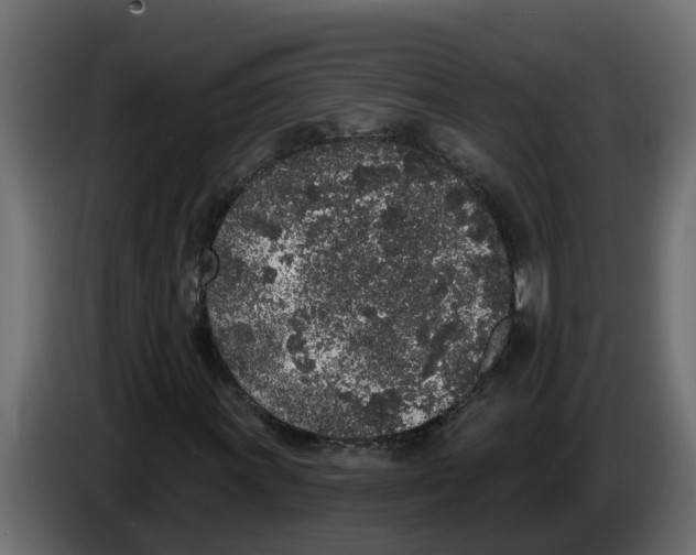 X0000083591011200703021838