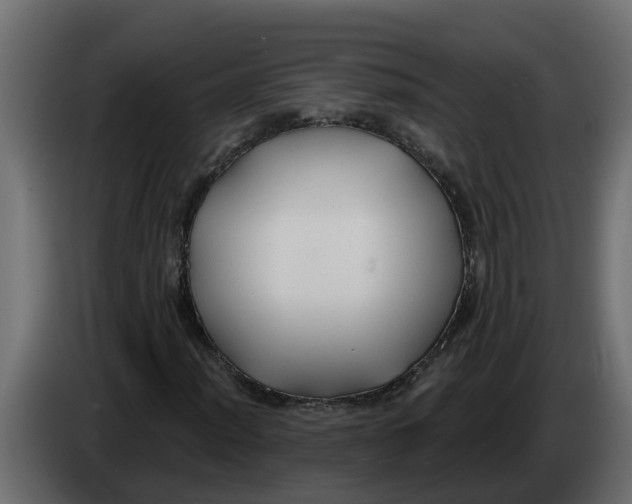 X0000083591012200703021838