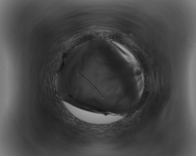 X0000083591013200703021839