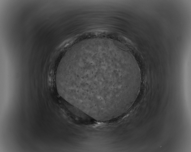 X0000083591014200703021839