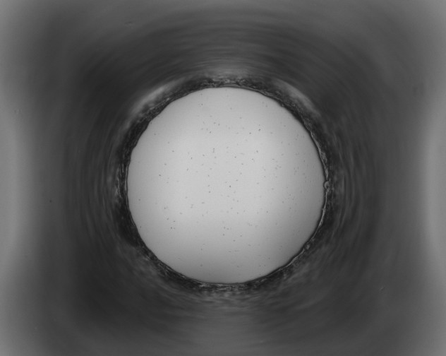 X0000083591016200703021839