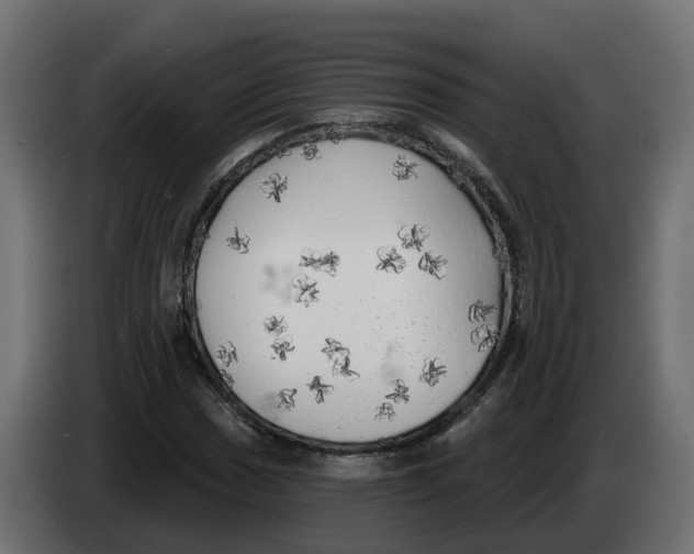 X0000083591017200703021839