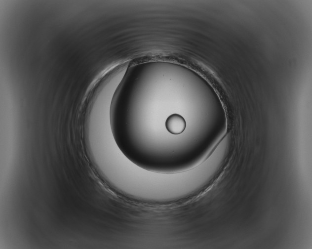 X0000083591018200703021839