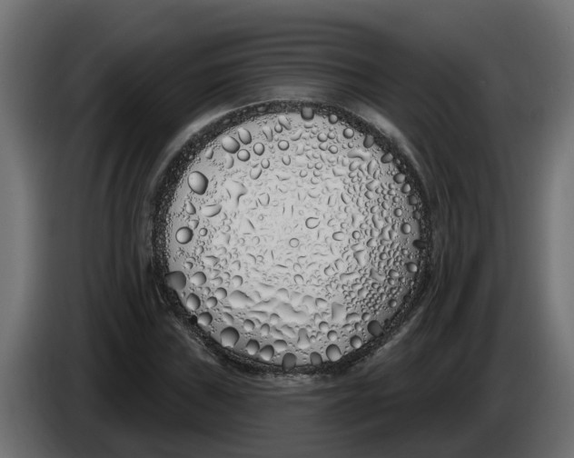 X0000083591019200703021839