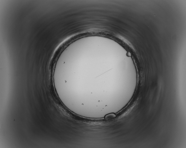 X0000083591021200703021839