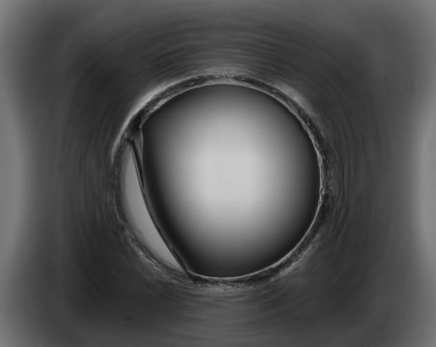 X0000083591022200703021839