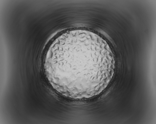 X0000083591023200703021839