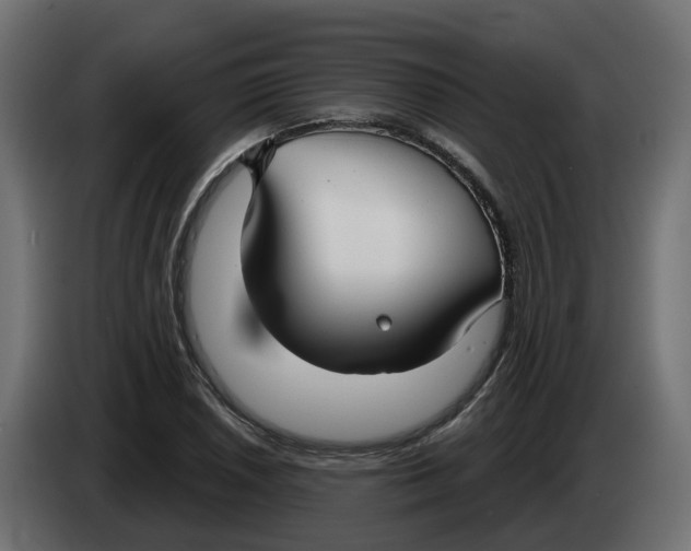 X0000083591026200703021839