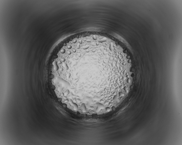 X0000083591027200703021839