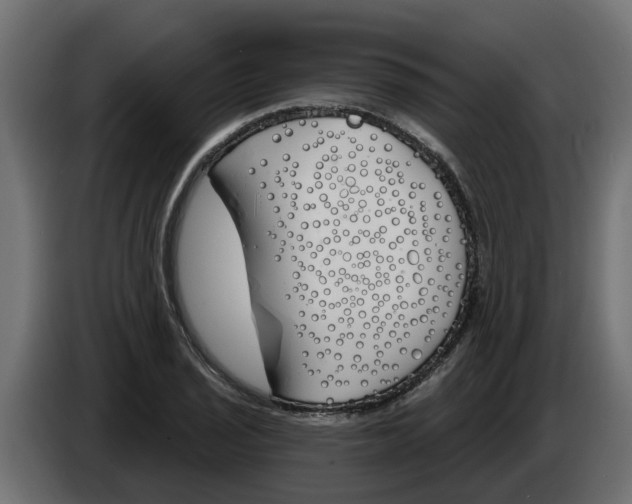 X0000083591029200703021839