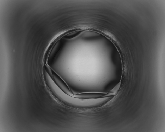 X0000083591030200703021839