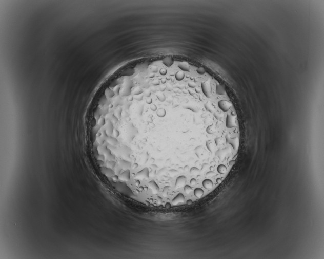 X0000083591031200703021839