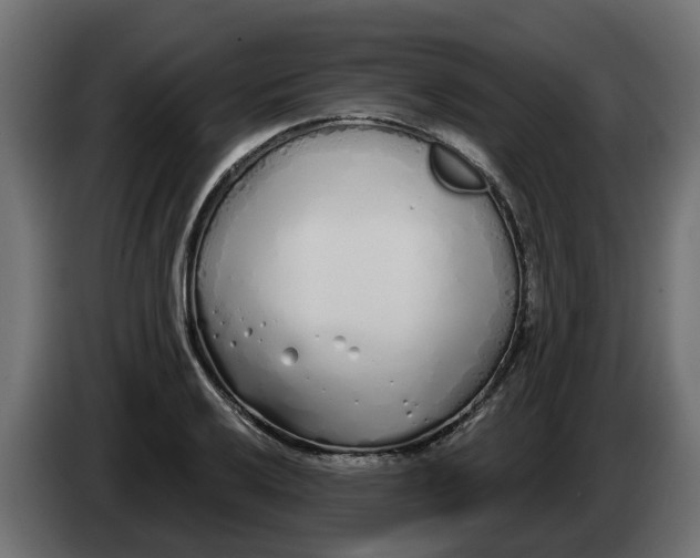 X0000083591032200703021839