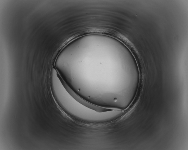 X0000083591033200703021839