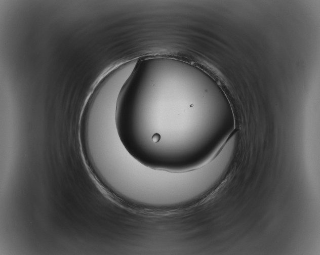 X0000083591034200703021839