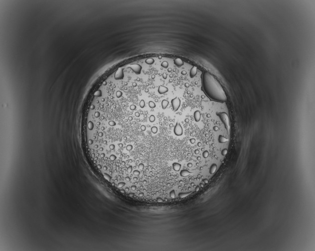 X0000083591035200703021839