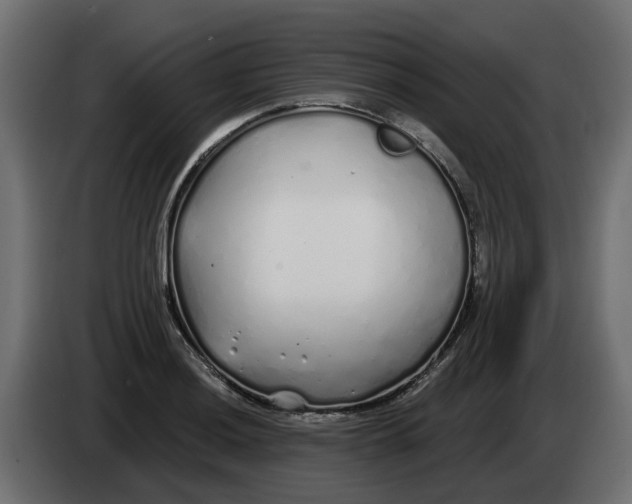 X0000083591036200703021839