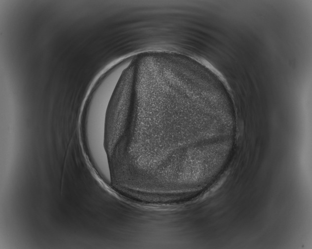 X0000083591037200703021839