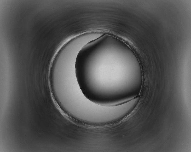 X0000083591038200703021839
