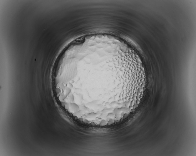 X0000083591039200703021839