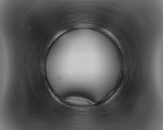 X0000083591041200703021839