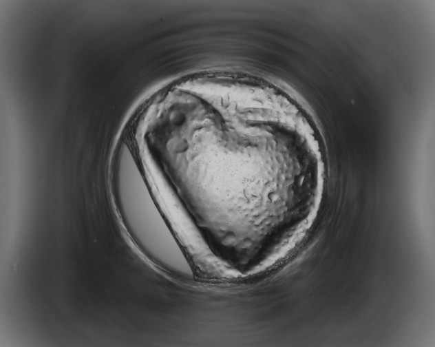 X0000083591045200703021839