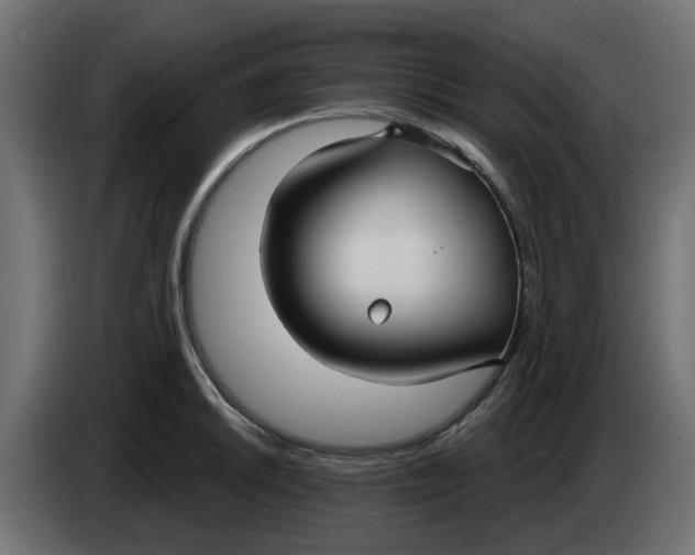 X0000083591046200703021839