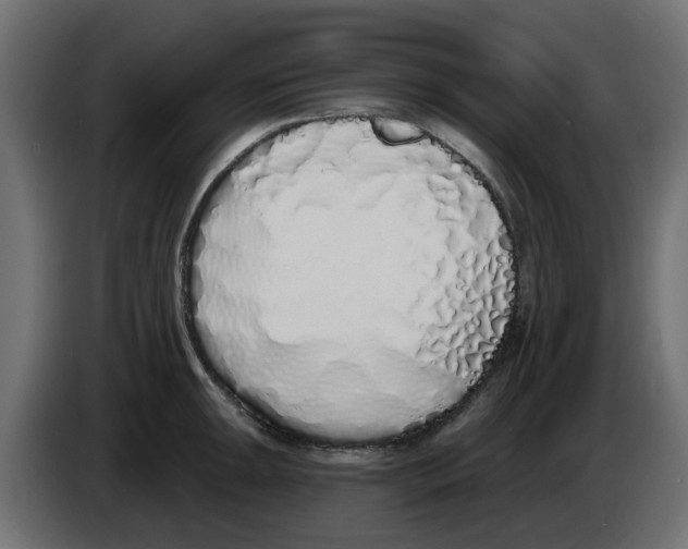 X0000083591047200703021839