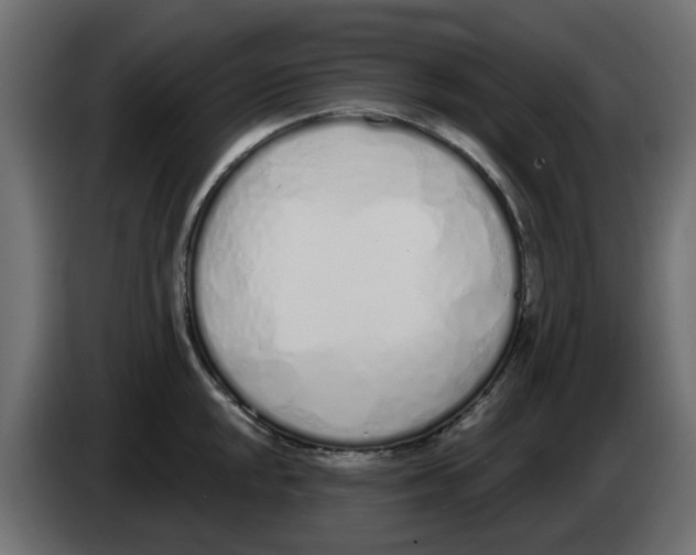 X0000083591048200703021839