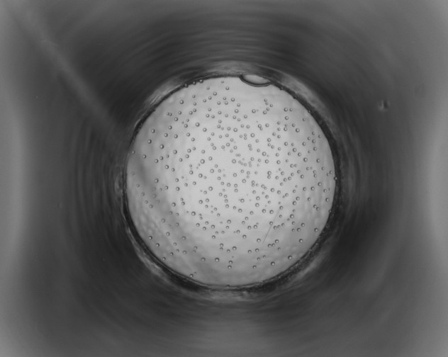 X0000083591049200703021839