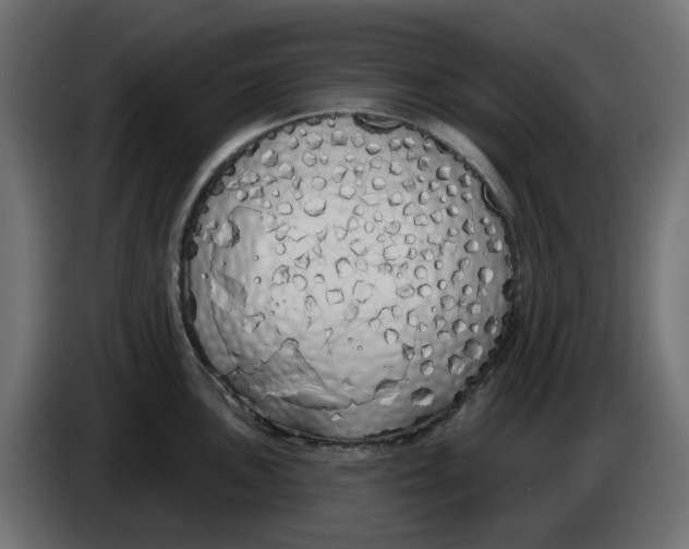 X0000083591051200703021839