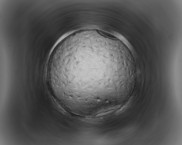 X0000083591052200703021839