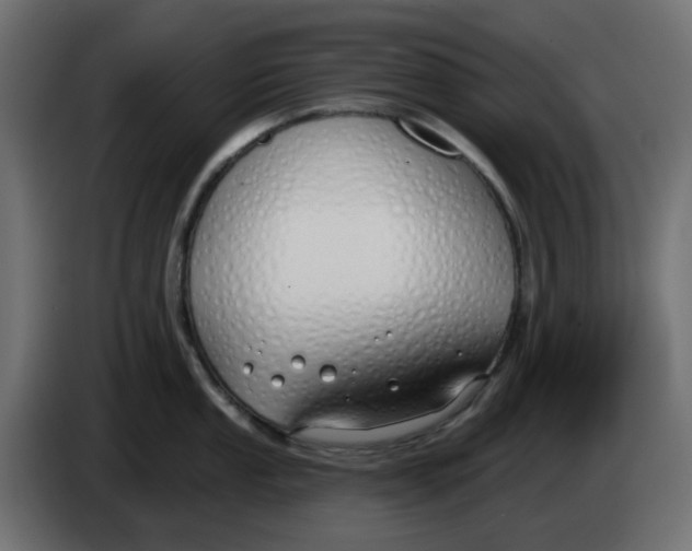 X0000083591053200703021839