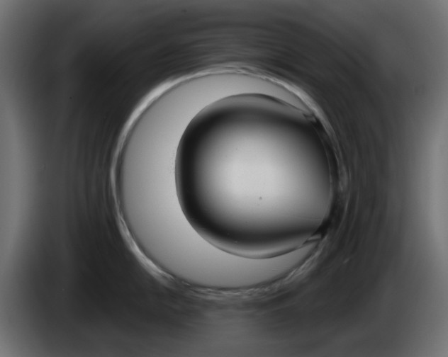 X0000083591054200703021839