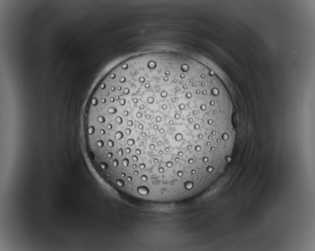 X0000083591055200703021839
