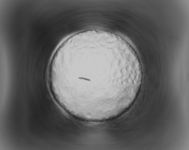 X0000083591056200703021839
