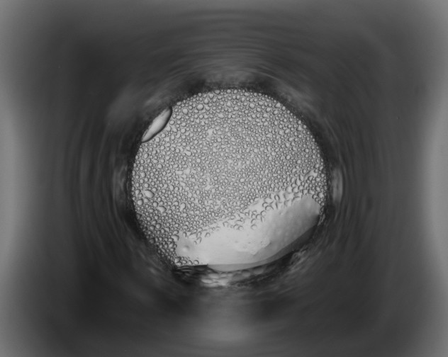 X0000083591059200703021838