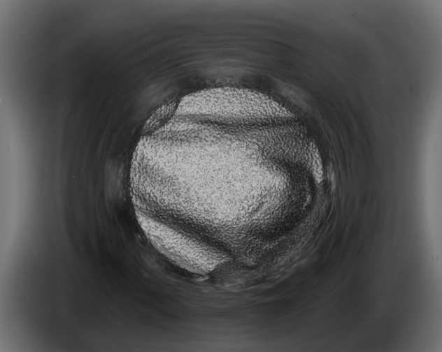 X0000083591060200703021838