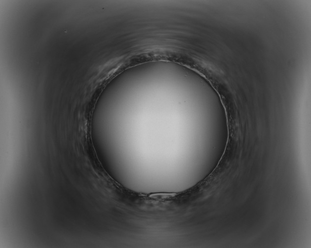 X0000083591061200703021838